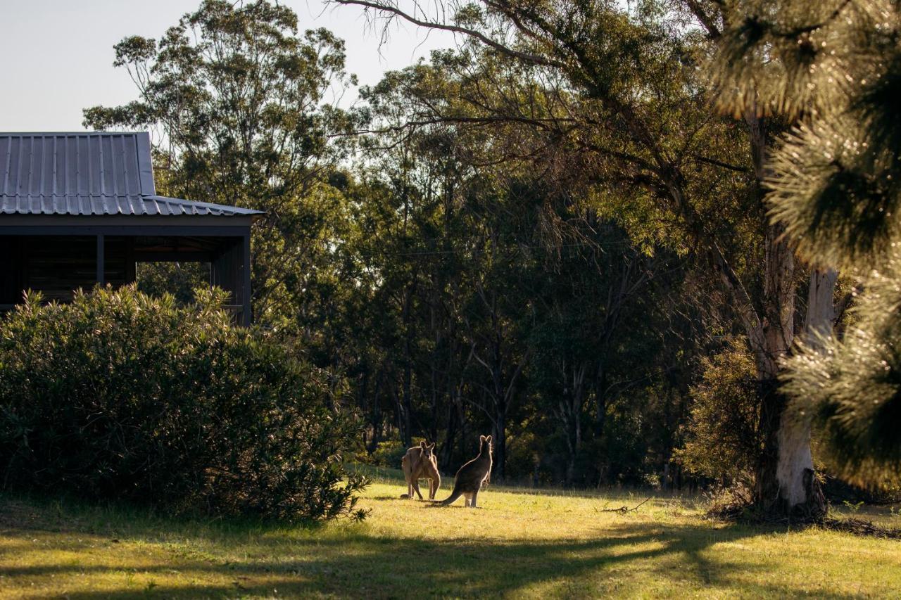 Palmers Lane Estate Hunter Valley ポーコルビン エクステリア 写真