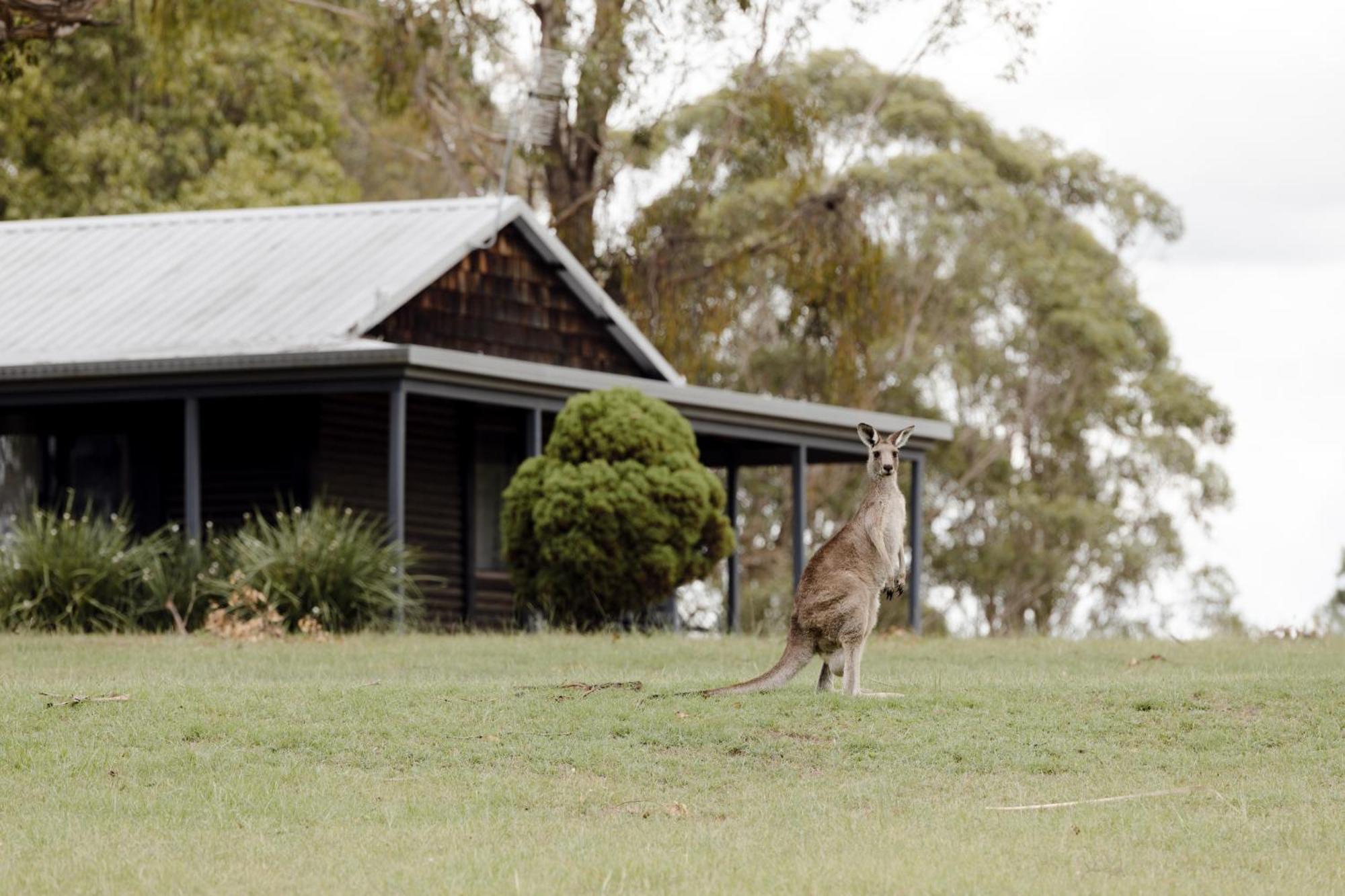 Palmers Lane Estate Hunter Valley ポーコルビン エクステリア 写真